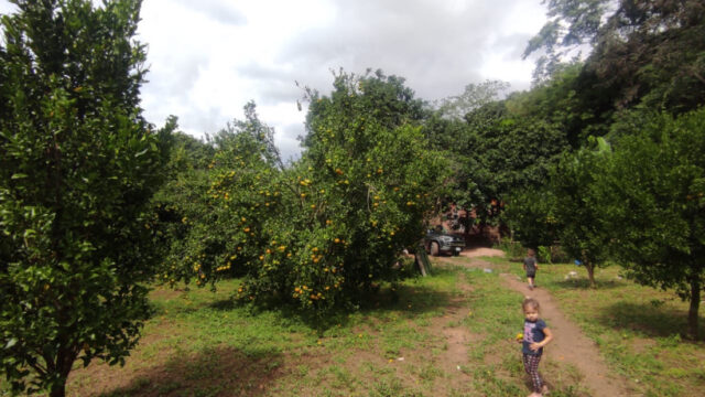 thimg_WhatsApp-Image-2022-10-06-at-16.08.24_autox460