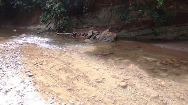 thimg_WhatsApp-Image-2022-10-06-at-16.08.25-1-_autox460