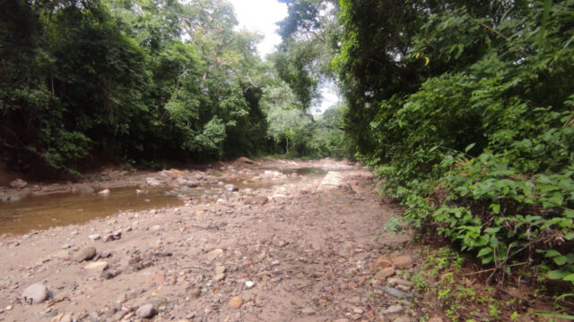 thimg_WhatsApp-Image-2022-10-06-at-16.08.25-2-_autox460