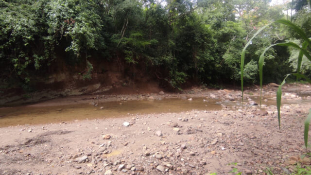 thimg_WhatsApp-Image-2022-10-06-at-16.08.26_autox460