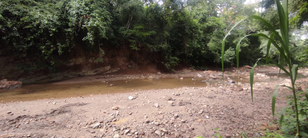 thimg_WhatsApp-Image-2022-10-06-at-16.08.26_autox460