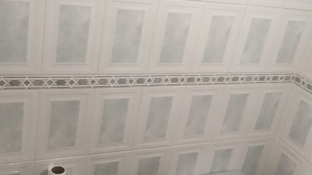 WhatsApp Image 2023-05-02 at 12.28.29 PM